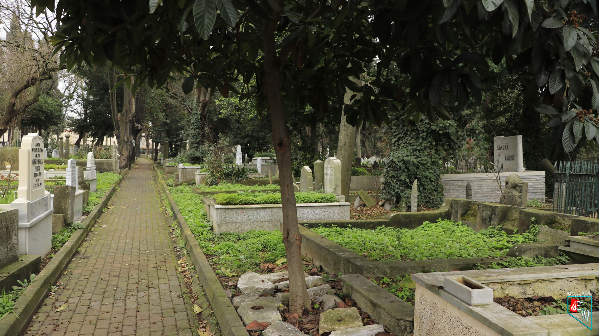 Zeytinburnu Mezar Bakımı